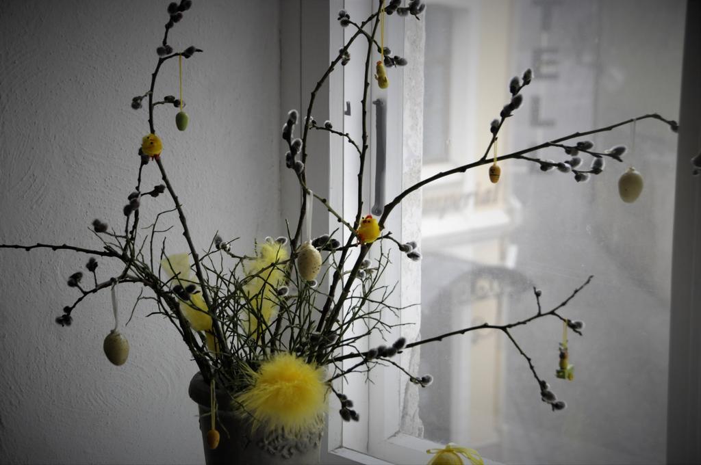 Calandra Apartment ทาลลินน์ ภายนอก รูปภาพ